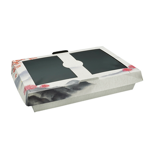 BIO COMBI SUSHIBOX MET DEKSEL LARGE 251x181x50MM x 140 ST